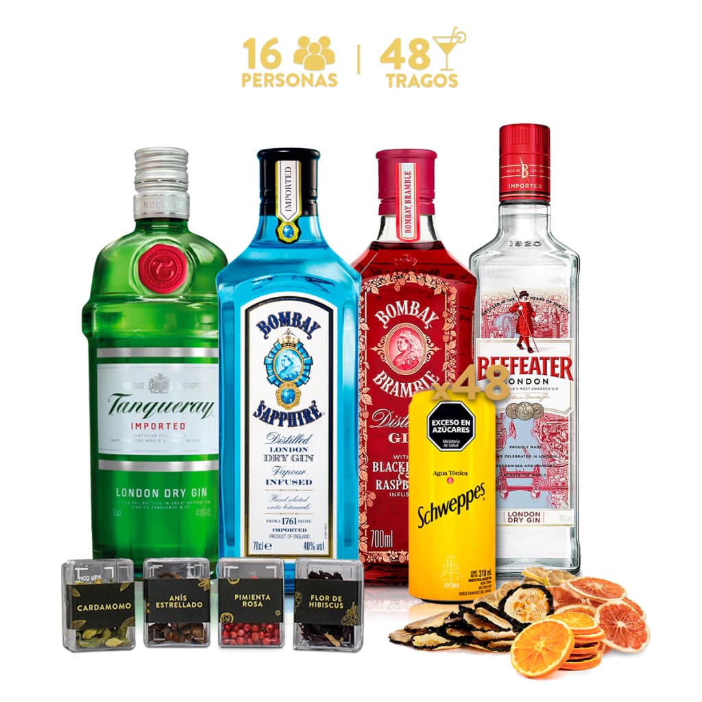 Pack Gin Tonic Premium · 48 tragos con 4 gins importados - Imagen principal